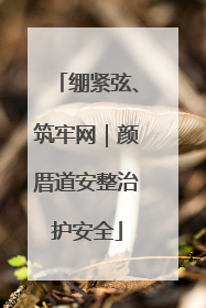 绷紧弦、筑牢网｜颜厝道安整治护安全