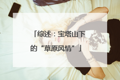 综述：宝塔山下的“草原风情”