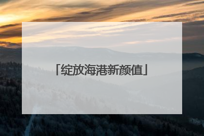 绽放海港新颜值