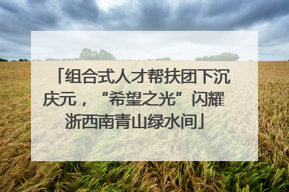 组合式人才帮扶团下沉庆元，“希望之光”闪耀浙西南青山绿水间