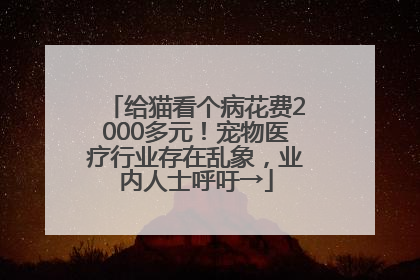 给猫看个病花费2000多元！宠物医疗行业存在乱象，业内人士呼吁→