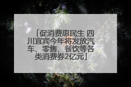 促消费惠民生 四川宜宾今年将发放汽车、零售、餐饮等各类消费券2亿元