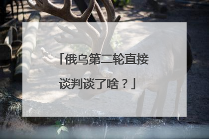 俄乌第二轮直接谈判谈了啥？