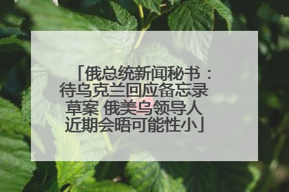 俄总统新闻秘书：待乌克兰回应备忘录草案 俄美乌领导人近期会晤可能性小