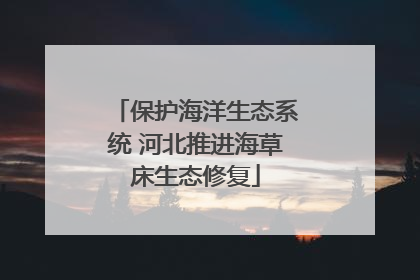 保护海洋生态系统 河北推进海草床生态修复