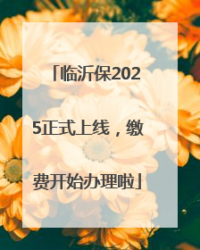 临沂保2025正式上线，缴费开始办理啦