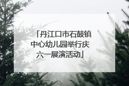 丹江口市石鼓镇中心幼儿园举行庆六一展演活动