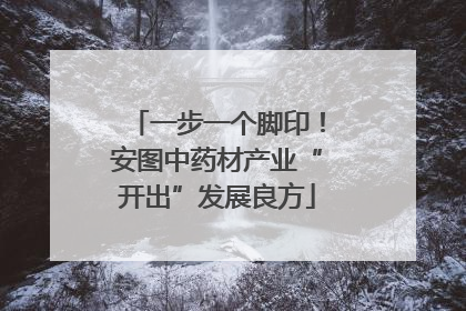 一步一个脚印！安图中药材产业“开出”发展良方