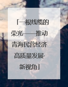 一根线缆的荣光——推动青海民营经济高质量发展·新视角