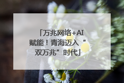 万兆网络+AI赋能！青海迈入“双万兆”时代