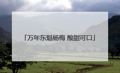 万年东魁杨梅 酸甜可口