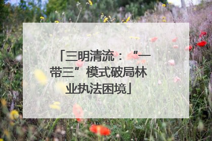三明清流：“一带三”模式破局林业执法困境