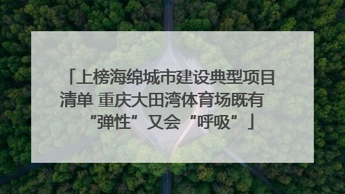 上榜海绵城市建设典型项目清单 重庆大田湾体育场既有“弹性”又会“呼吸”