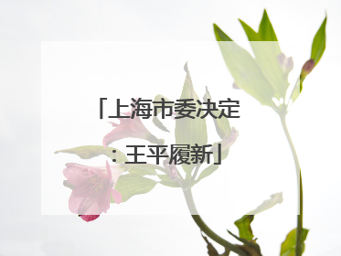 上海市委决定：王平履新