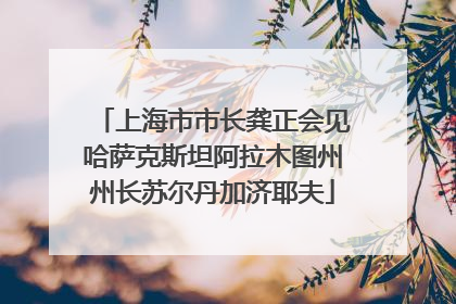 上海市市长龚正会见哈萨克斯坦阿拉木图州州长苏尔丹加济耶夫