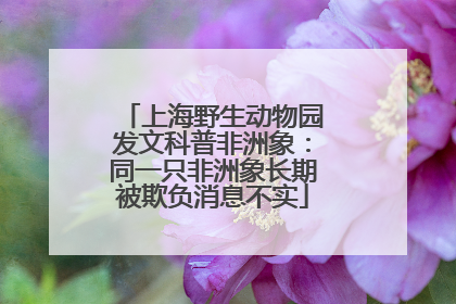 上海野生动物园发文科普非洲象：同一只非洲象长期被欺负消息不实