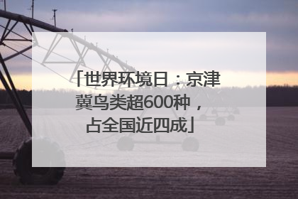 世界环境日：京津冀鸟类超600种，占全国近四成