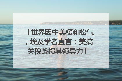 世界因中美缓和松气，埃及学者直言：美搞关税战损其领导力