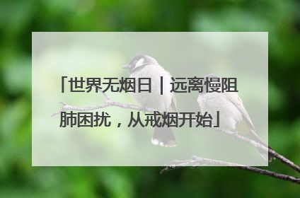 世界无烟日｜远离慢阻肺困扰，从戒烟开始