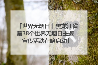 世界无烟日｜黑龙江省第38个世界无烟日主题宣传活动在哈启动