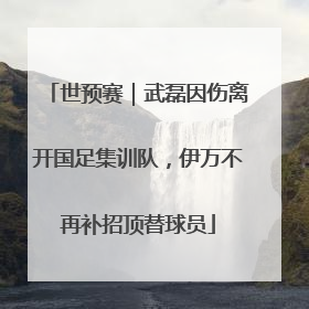 世预赛｜武磊因伤离开国足集训队，伊万不再补招顶替球员