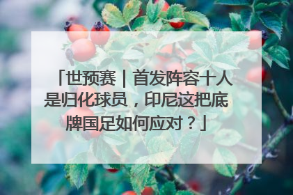世预赛｜首发阵容十人是归化球员，印尼这把底牌国足如何应对？