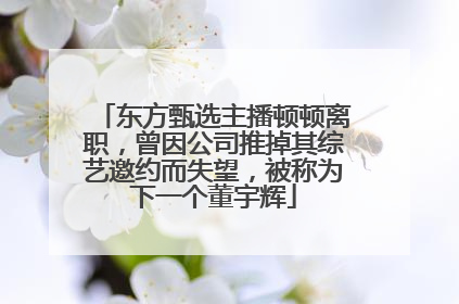 东方甄选主播顿顿离职，曾因公司推掉其综艺邀约而失望，被称为下一个董宇辉