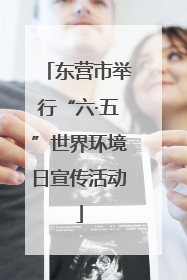 东营市举行“六·五”世界环境日宣传活动