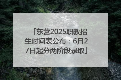 东营2025职教招生时间表公布：6月27日起分两阶段录取