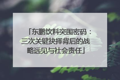 东鹏饮料突围密码：三次关键抉择背后的战略远见与社会责任