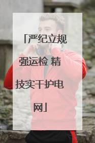 严纪立规强运检 精技实干护电网