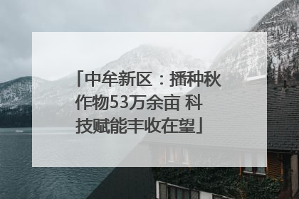 中牟新区：播种秋作物53万余亩 科技赋能丰收在望