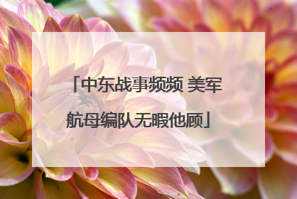 中东战事频频 美军航母编队无暇他顾