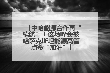 中哈能源合作再“续航”！这场峰会被哈萨克斯坦能源高管点赞“加油”