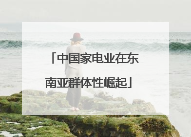 中国家电业在东南亚群体性崛起