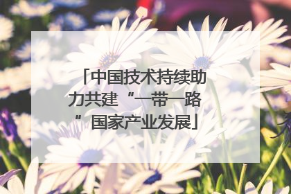 中国技术持续助力共建“一带一路”国家产业发展