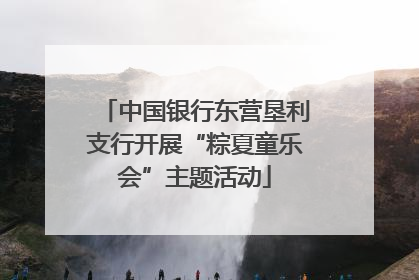 中国银行东营垦利支行开展“粽夏童乐会”主题活动