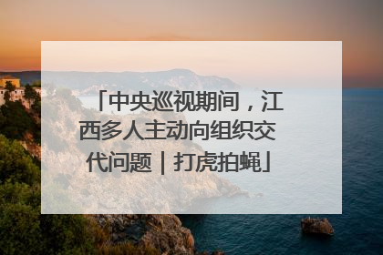 中央巡视期间，江西多人主动向组织交代问题｜打虎拍蝇