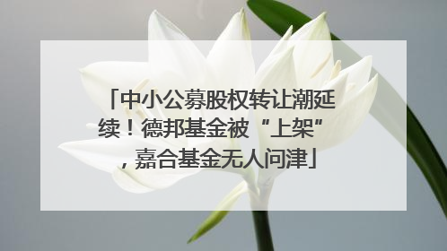 中小公募股权转让潮延续！德邦基金被“上架”，嘉合基金无人问津