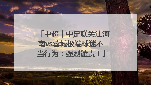 中超｜中足联关注河南vs蓉城极端球迷不当行为：强烈谴责！