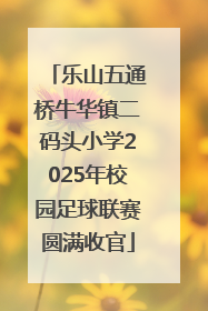 乐山五通桥牛华镇二码头小学2025年校园足球联赛圆满收官