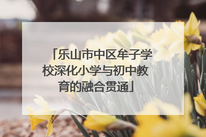 乐山市中区牟子学校深化小学与初中教育的融合贯通