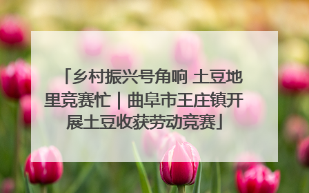 乡村振兴号角响 土豆地里竞赛忙｜曲阜市王庄镇开展土豆收获劳动竞赛