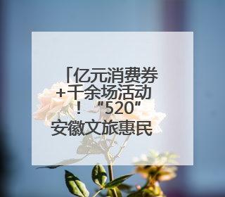 亿元消费券+千余场活动！“520”安徽文旅惠民消费季启幕