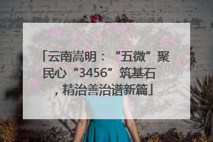 云南嵩明：“五微”聚民心“3456”筑基石，精治善治谱新篇