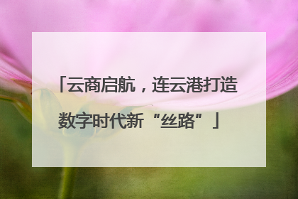 云商启航，连云港打造数字时代新“丝路”