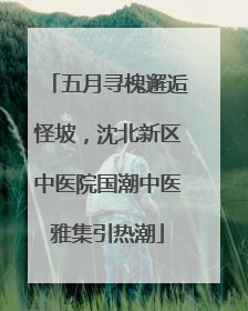 五月寻槐邂逅怪坡，沈北新区中医院国潮中医雅集引热潮