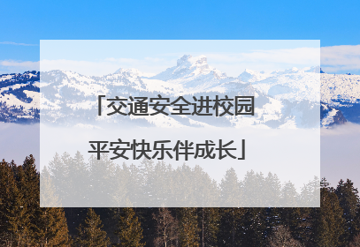 交通安全进校园 平安快乐伴成长
