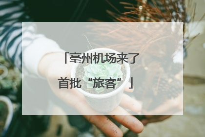 亳州机场来了首批“旅客”