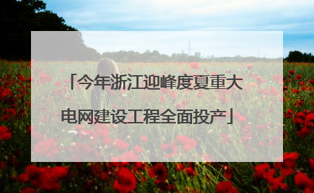 今年浙江迎峰度夏重大电网建设工程全面投产